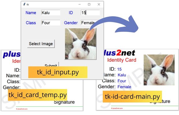 User inputs from Tkitner for ID card